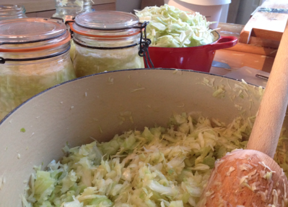 beneficial bacteria, nourishing, fermented foods, biolive relishes, sauerkraut, whey, dysbiosis