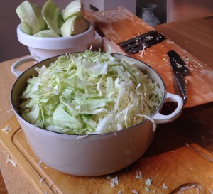sauerkraut, fermented relishes, beneficial bacteria, dill, juniper, whey, cabbage