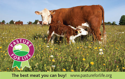 pastureforlife-homepage